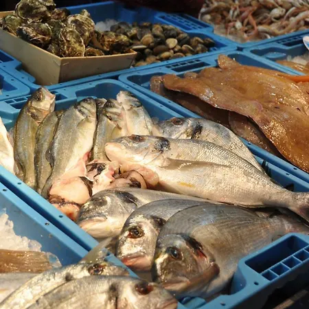 וילה Flo Vinarós